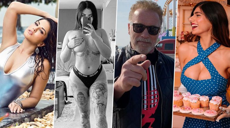 As Racer Renee Gracie Turns Towards Porn Movies, Check Out Celebs like Sunny  Leone, Mia Khalifa & Jackie Chan Who Left the XXX Industry For Diverse  Career Options | ðŸ‘ LatestLY