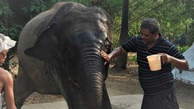 Bihar Animal Lover Mohammad Akhtar Gives His Entire Land to Two Elephants Moti & Rani for Saving His Life