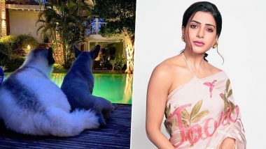 Samantha Akkineni Misses Being Around Her Best Friends (View Post)