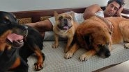 Amit Sadh Spends His 37th Birthday with His Three Pet Dogs (View Pic)