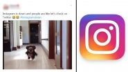 Instagram Is Down Yet Again For Thousands of Users; Netizens Took to Twitter to Create Hilarious Memes on The Outage (See Tweets)