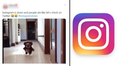Instagram Is Down Yet Again For Thousands of Users; Netizens Took to Twitter to Create Hilarious Memes on The Outage (See Tweets)
