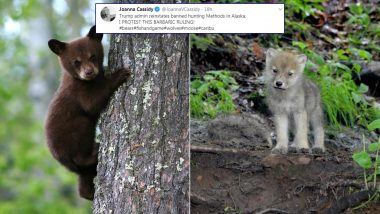 Alaska Hunting Ban Reversed by Trump Administration; Twitterati Furious As New Law Lets Bear Cubs and Wolf Pups to Be Killed in Dens