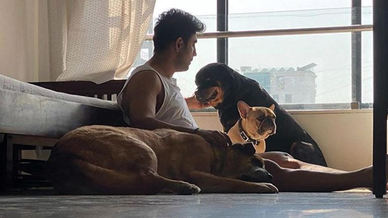 Amit Sadh Birthday: Mini Photo Album That Shows Actor's Immense Love For Doggos!