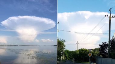 Giant Mushroom-Shaped Cloud Near Chernobyl Sparks Fears From UFO Sightings to Nuclear Tests! Know What Are Anvil Clouds (Watch Video)