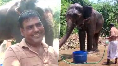 Bihar Man Mohammad Akhtar Donates 6.25-Acre Land to Two Elephants Moti And Rani Despite Threat to Life From Unhappy Family, Twitterati Applaud Man's Kindness