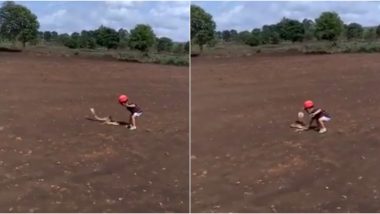 Little Boy Tries to Grab a Cobra While Playing With Father in Belgaum, Terrifying Video of Child Attempting to Catch Snake Goes Viral