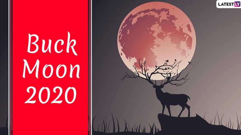 Buck Moon 2020 Date and Time: Know Everything About the Full Moon of July Coinciding With Penumbral Lunar Eclipse