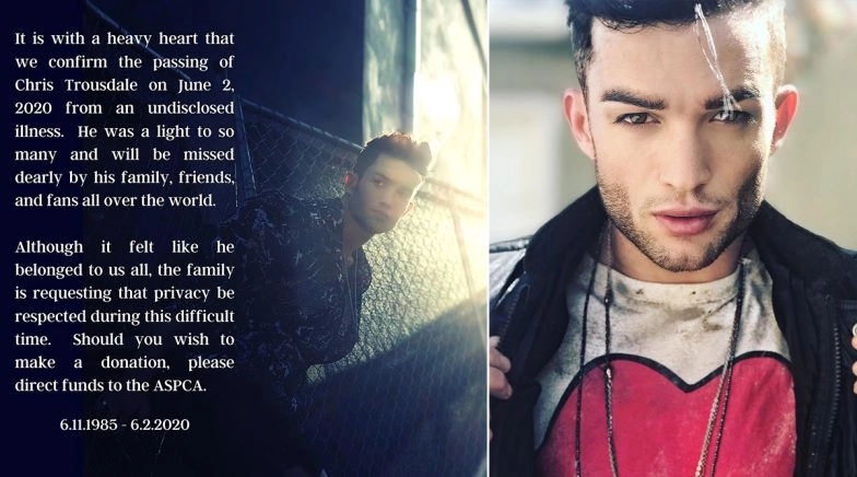 Singer-Actor Chris Trousdale Dies At 34 Due To COVID-19 Complications 