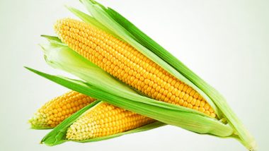 Corn Health Benefits: From Lowering Cholesterol Levels to Boosting Energy, Here Are Five Reasons to Have Maize