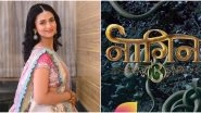 Naagin 5: Divyanka Tripathi Quashes Reports of Being Part of Ekta Kapoor&rsquo;s Supernatural Drama  Alongside Kratika Sengar and Asim  Riaz (View Tweet)