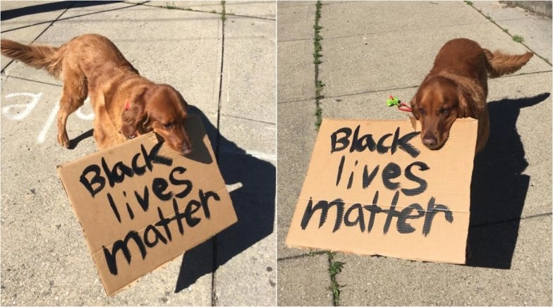 Dog Joins ‘Black Lives Matter’ Protest at Cincinnati, Video Goes Viral
