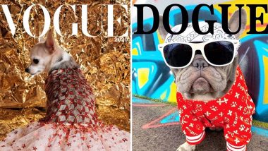 Viral Vogue Challenge Gets a Cute Spin From Pet Owners, Start 'Dogue' Trend With Pics of Their Dogs Gracing The Magazine Cover (Check Awwdorable Pics)
