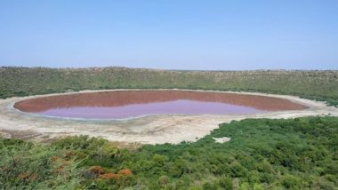 Lonar Crater Lake in Maharashtra's Buldhana Mysteriously Turns Pink, Experts And Locals Surprised by Strange Phenomenon (View Pics)