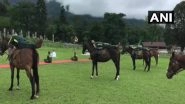 International Yoga Day 2020: ITBP Personnel of Animal Training School Perform Yoga with Horses, View Pics
