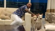 Shikhar Dhawan Adopts Two Dogs, Names Them Chloe and Valentine (See Pics)