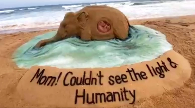 Sudarsan Pattnaik Creates Sand Art Condemning Pregnant Elephant's Death in Kerala
