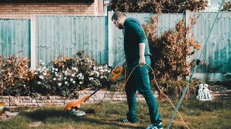 Mosquitoes Not Letting You Enjoy Evening Tea in Your Garden? These Hacks Will Keep the Bugs Away From Your Balcony For Good!