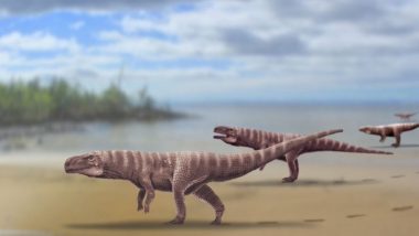 Giant 120-Million-Year Old Crocodile That Walked on Two Feet Like a Dinosaur Found by Scientists in South Korea