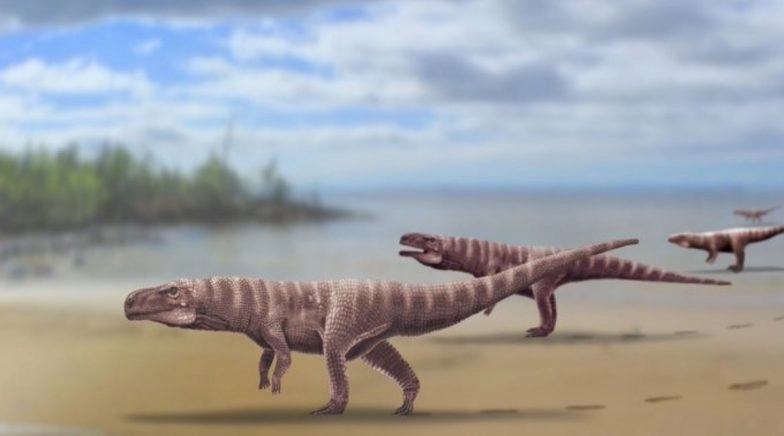 Giant 120-Million-Year Old Crocodile That Walked on Two Feet Like a Dinosaur Found by Scientists