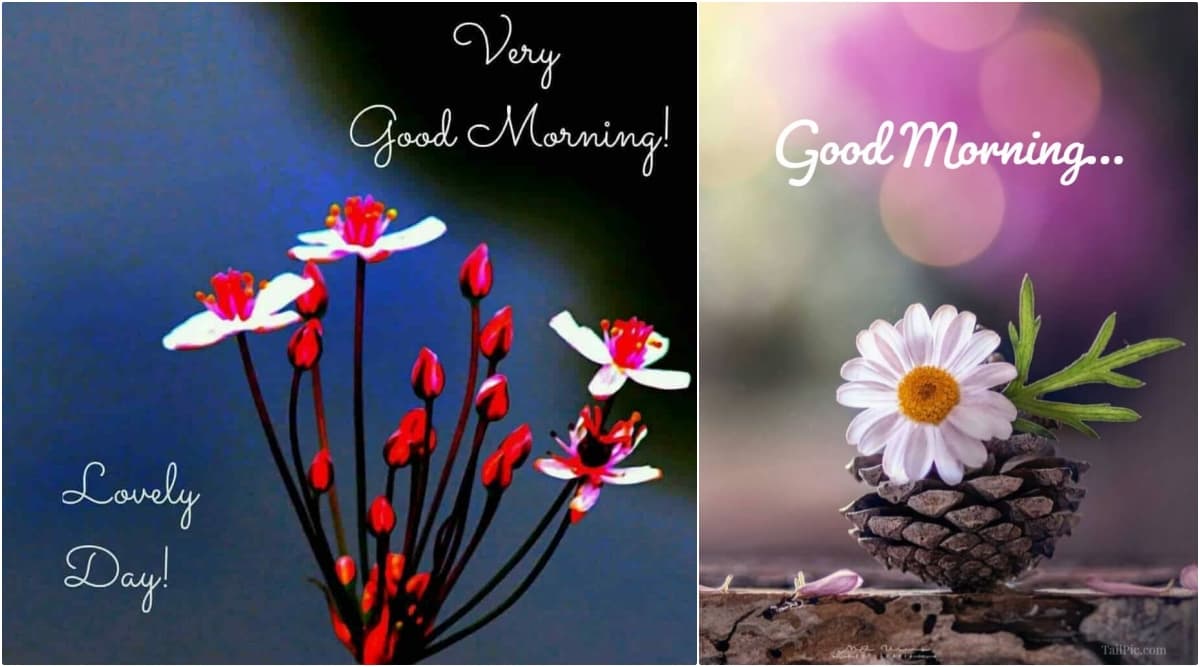 Good Morning Hd Images World Environment Day Quotes Wish Vishwa Paryavaran Diwas With Wed Messages Whatsapp Stickers And Gif Greetings Latestly