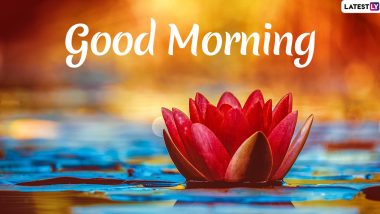Send Good Morning HD Images & Wishes to Family & Friends As No Phishing Codes Are Embedded in These Messages and Greetings!