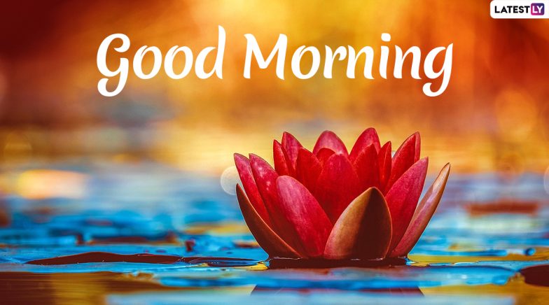 Send Good Morning HD Images & Wishes to Family & Friends As No Phishing  Codes Are Embedded in These Messages and Greetings!
