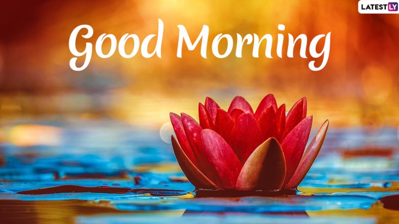Send Good Morning HD Images & Wishes to Family & Friends As No Phishing Codes Are Embedded in These Messages and Greetings!