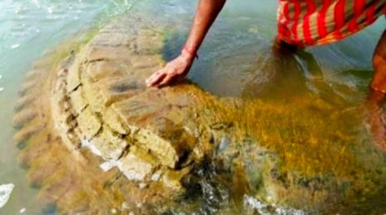 Odisha: 500-Year-Old Ancient Gopinath Dev Temple Rises from Mahanadi's Waters in Nayagarh