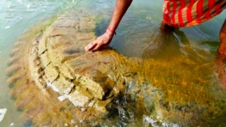 Odisha: 500-Year-Old Ancient Gopinath Dev Temple Rises from Mahanadi's Waters in Nayagarh, Locals Ask Govt to Restore it