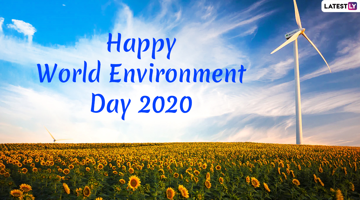 Happy World Environment Day 2020 Images and Wallpapers For Free Download  Online: WhatsApp Stickers, Facebook Greetings, GIFs, SMS and Messages to  'Celebrate Biodiversity' | 🙏🏻 LatestLY