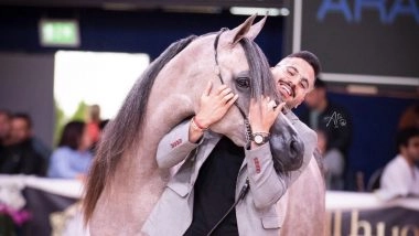 Here Is How Mohammad Sheikh Suliman Became One Of The Leading Horse Owners In The World