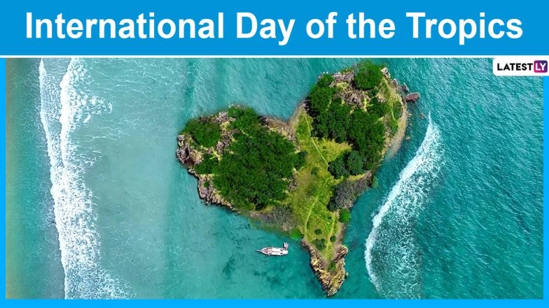 International Day of the Tropics 2020 Date and History: Know Significance of The Day That Celebrates and Promotes Tropical Regions on Earth