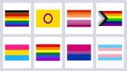 LGBTQ+ Flags and Their Meanings: In June Pride Month 2022, Here&rsquo;s A Complete Guide to the Queer Flags, Colours and What They Mean