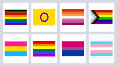 LGBTQ+ Flags and Their Meanings: In June Pride Month 2022, Here’s A Complete Guide to the Queer Flags, Colours and What They Mean