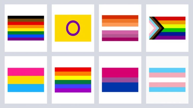 LGBTQ+ Flags and Their Meanings: In June Pride Month 2022, Here’s A Complete Guide to the Queer Flags, Colours and What They Mean