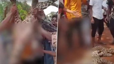 Assam: Leopard Lynched on Outskirts of Guwahati; Viral Video Shows Locals Parading Dead Body