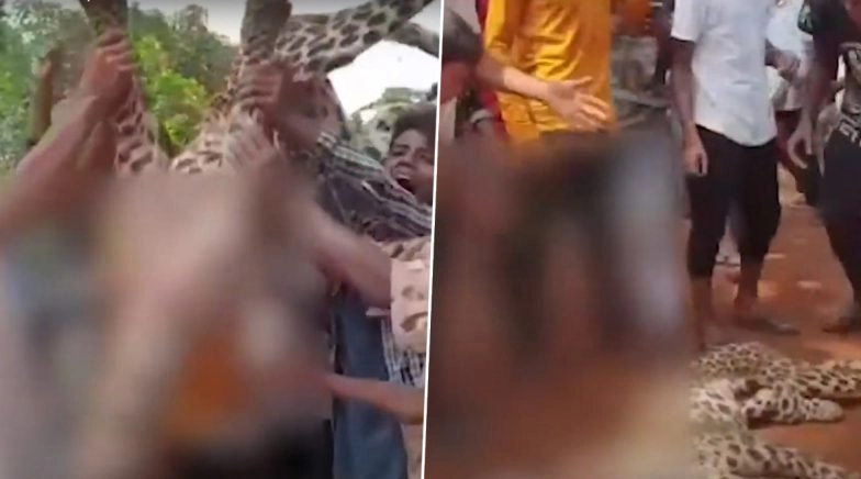 Assam: Leopard Lynched on Outskirts of Guwahati; Viral Video Shows Locals Parading Dead Body