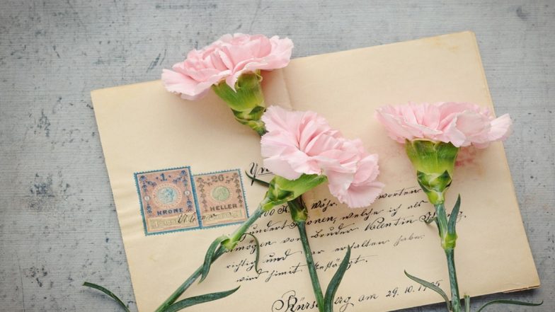 On World Environment Day 2020, a Letter From Mother Earth Addressing Concerns of Her Son, The Environment