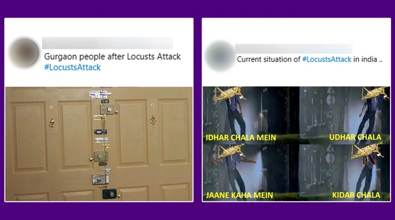 Locust Attack in Gurugram Prompts Meme-Fest Online