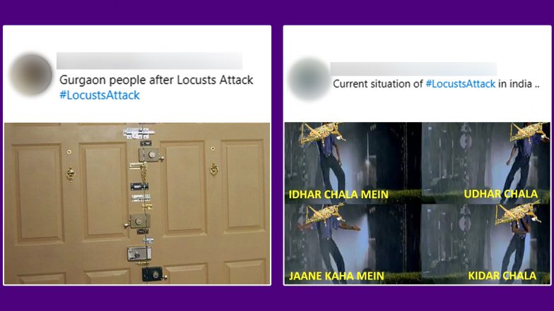 Locust Attack in Gurugram Prompts Meme-Fest Online, These Funny Jokes Will Make You Smile Your Worries Away About Tiddi Dal Invasion