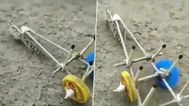 Viral Video of Locust Tied to Ploughing Toy As Punishment For Destroying Crops is NOT Fun but Small Part of The Larger Problem of Animal Cruelty!