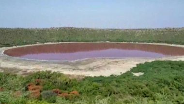 Lonar Crater Lake Water Turns Red, Unusual Colour Leaves Forest Officials Puzzled in Maharashtra's Buldhana District, View Pics