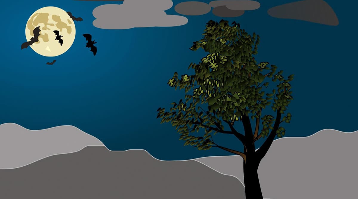 Lunar Eclipse Myths and Legends: Interesting Tales to Know Ahead of Penumbral Lunar Eclipse 2020  