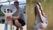 Former US Army Sergeant Fights off 13-Foot-Long Alligator to Save His Dog in Florida (Watch Video)