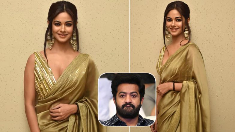 Priyanka Chopra Jonas' Cousin Meera Chopra Receives Rape Threats From Jr NTR Fans,  Actress Lodges Complaint With Cybercrime (View Tweets)
