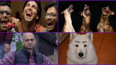 From Hera Pheri to Annoyed Pakistani Fan, Twitter Thread Comparing Famous Meme Reactions to Dogs Will Give You Latest Funny Memes' Templates For Free!