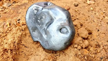 Metallic Meteorite-Like Object Falls in Jalore district of Rajasthan! Amused Netizens Call This Mysterious Stone an Aliens' Mask! (View Pic)