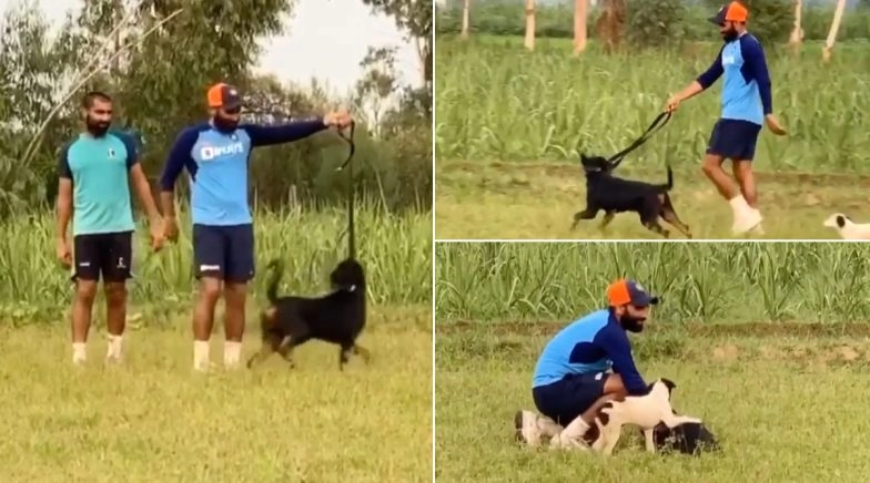 Mohammed Shami Sprints With His Pet Dog Jack to Improve Speed (Watch Video)
