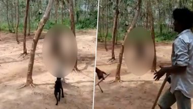 Monkey Beaten, Hanged to Death on Tree After It Enters Telangana House in Search of Food (Watch Video)